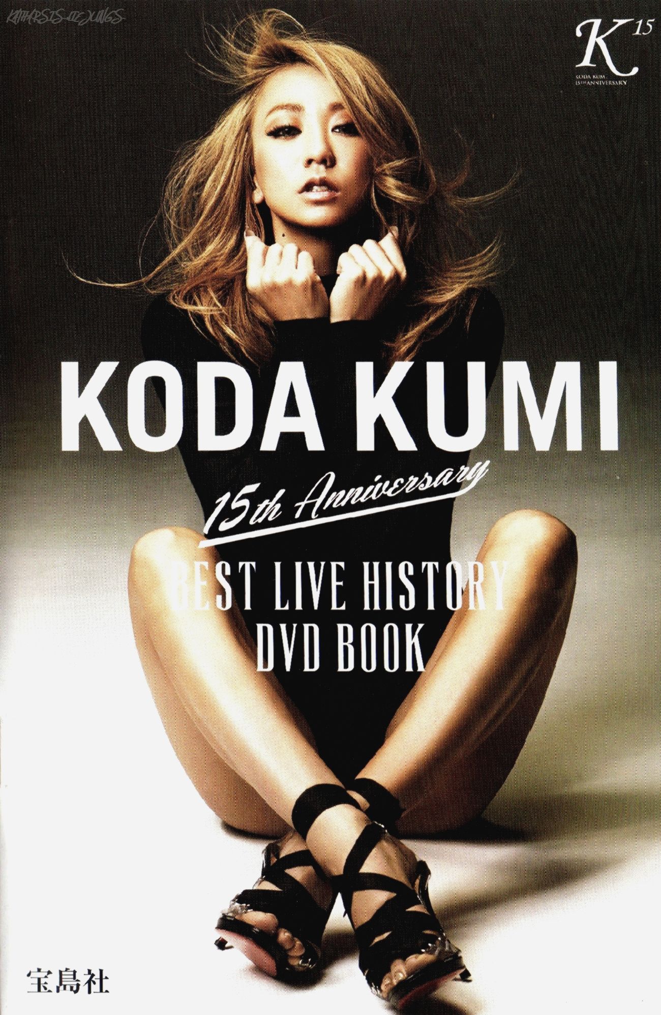 15th Anniversary Best Live History DVD Book (DVD)